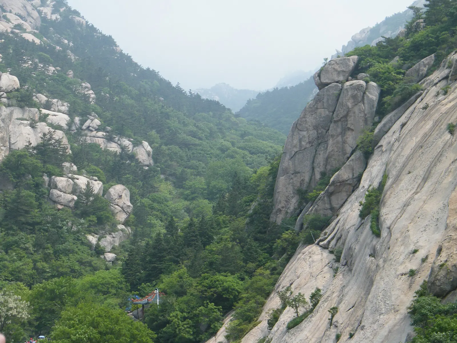 Mountain and forest scenery in the Laoshan area of Qingdao